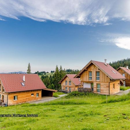 Beautiful Holiday Home In Weinebene With Sauna Posch Alpe Екстериор снимка