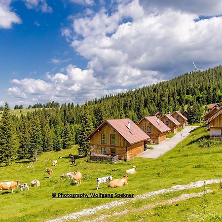Beautiful Holiday Home In Weinebene With Sauna Posch Alpe Екстериор снимка