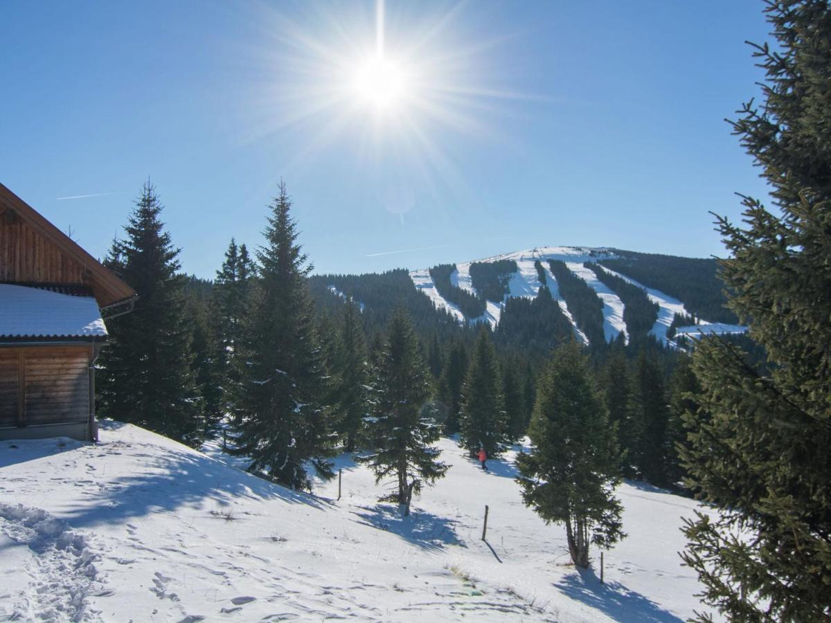 Beautiful Holiday Home In Weinebene With Sauna Posch Alpe Екстериор снимка