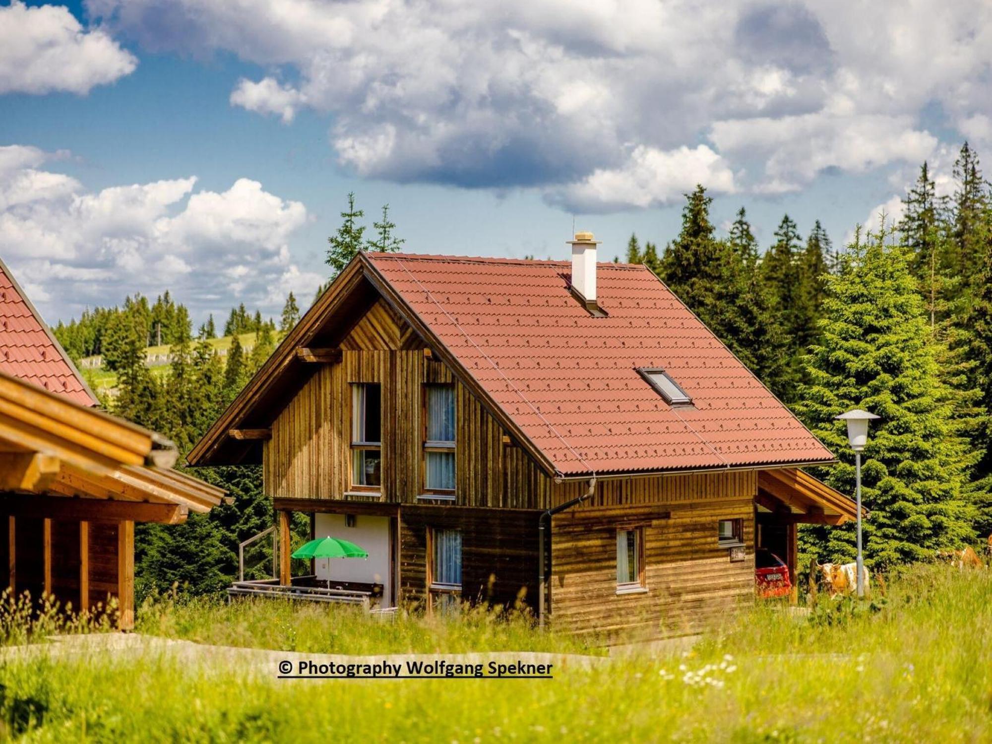 Beautiful Holiday Home In Weinebene With Sauna Posch Alpe Екстериор снимка