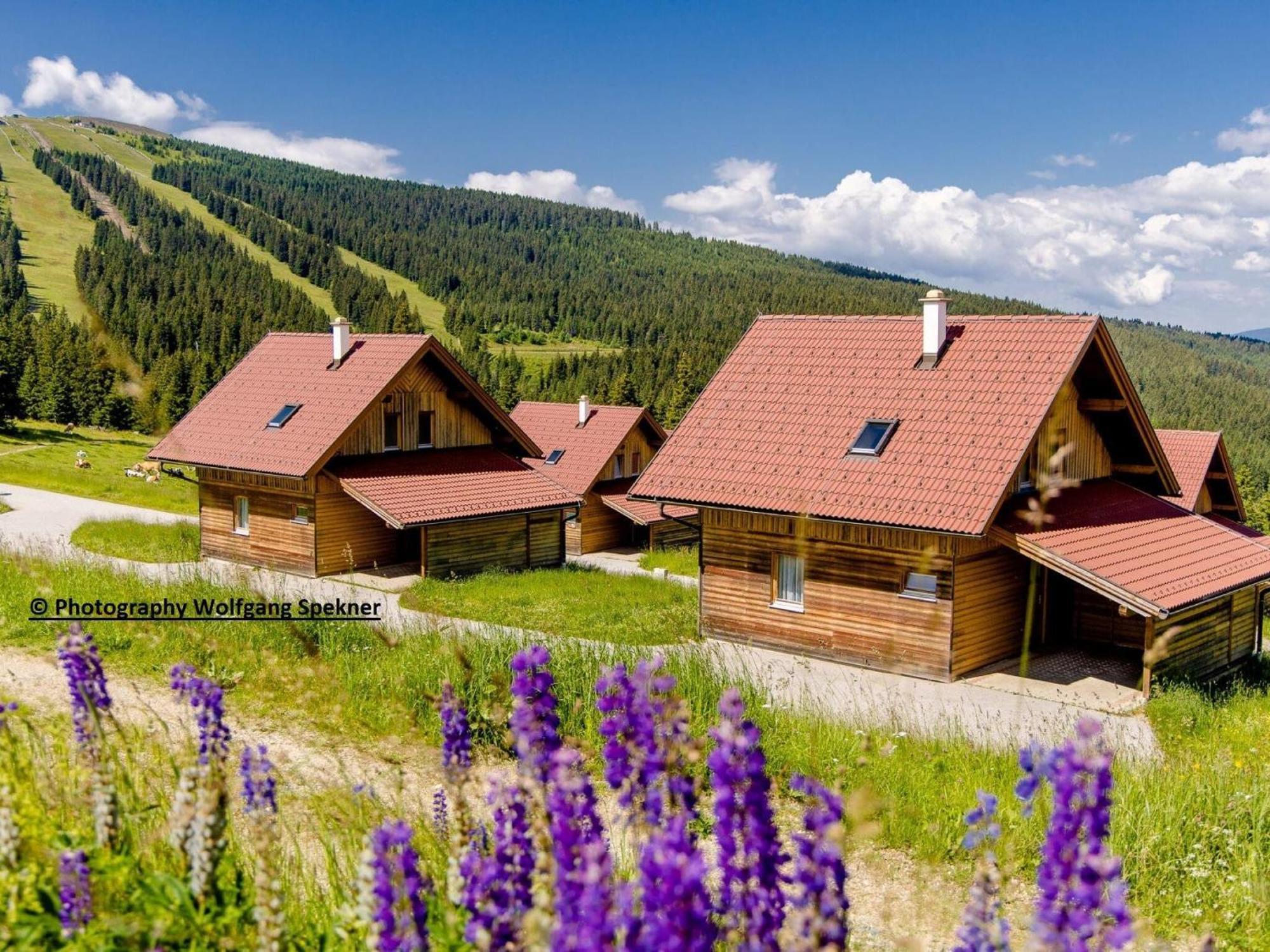 Beautiful Holiday Home In Weinebene With Sauna Posch Alpe Екстериор снимка