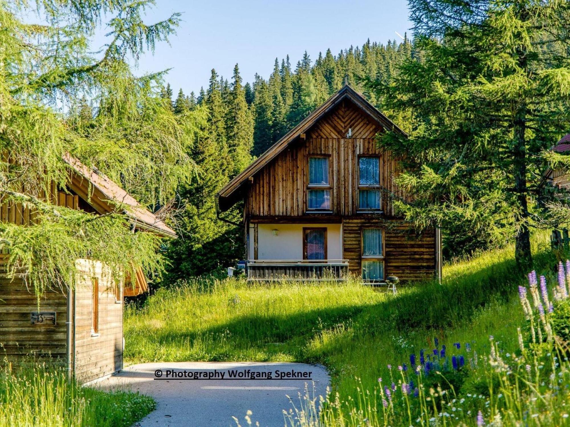 Beautiful Holiday Home In Weinebene With Sauna Posch Alpe Екстериор снимка